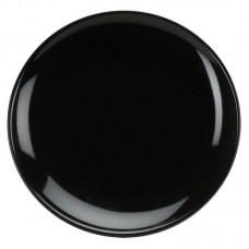Omniware Color Living 10.25" Dinner Plate OZW1392